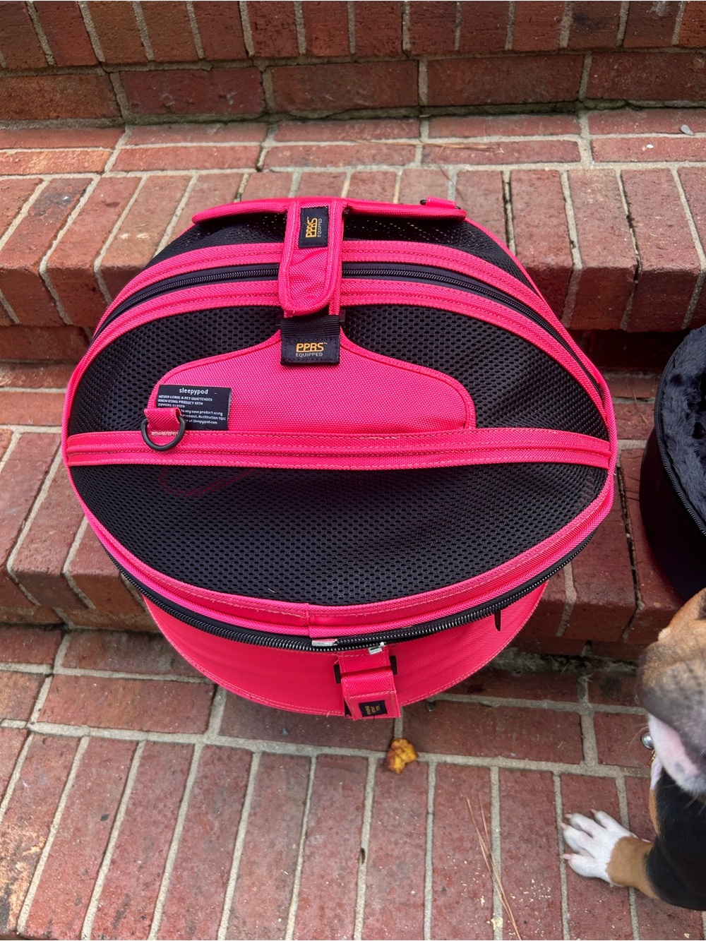 Pink Round Pet Carrier Travel Case